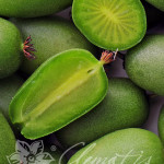 actinidia_vitikiwi